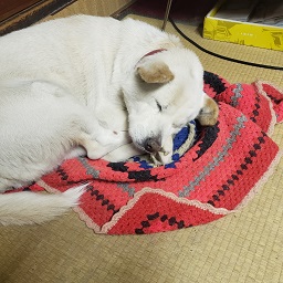 軽四ごみダンプ